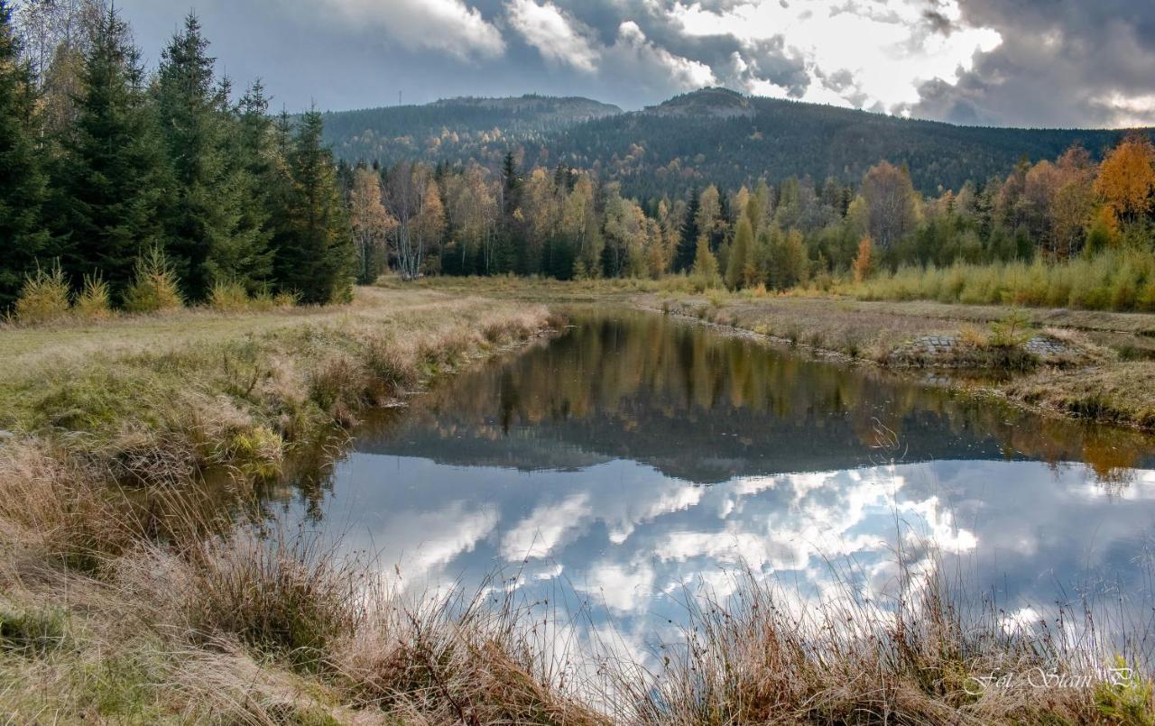 Szewska Pasja Agroturystyka Wiejska Лєшна Екстер'єр фото